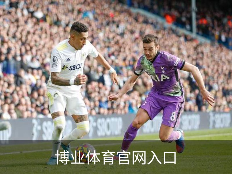 博业体育官网入口介绍